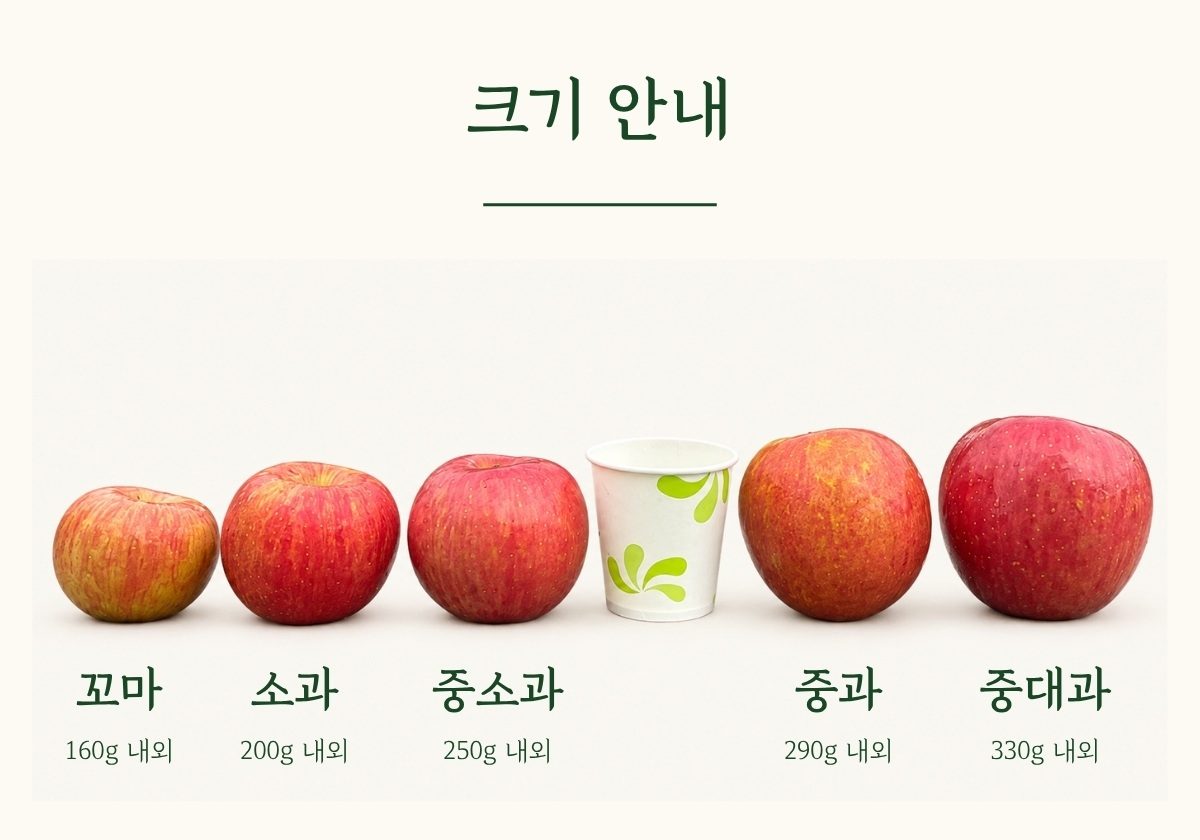 상세 1